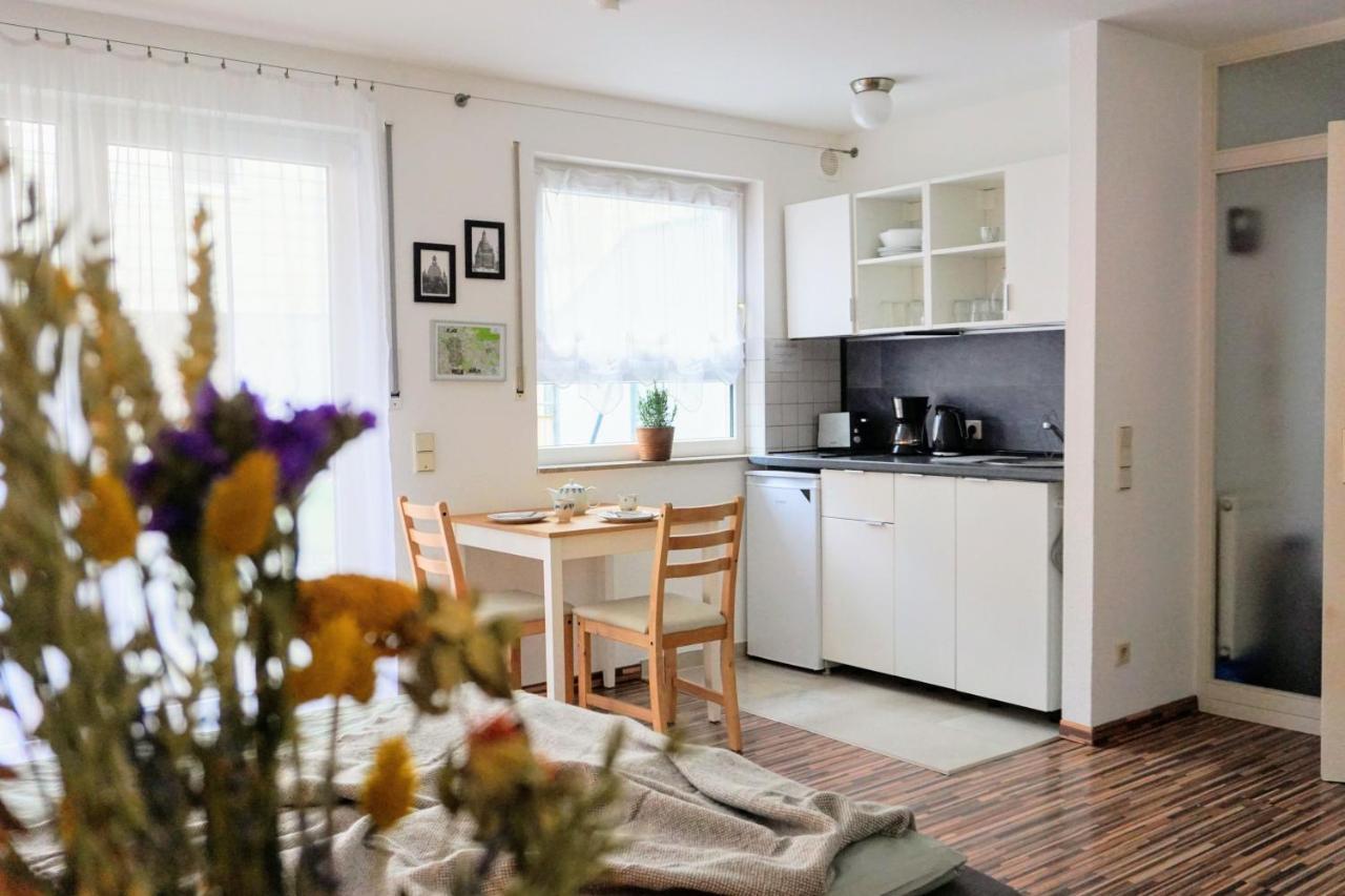 Gemuetliche Ferienwohnung In Ruhiger Lage Дрезден Екстериор снимка